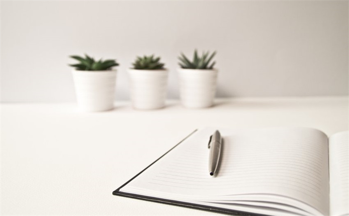 品牌策划的核心内容有哪些(图1)