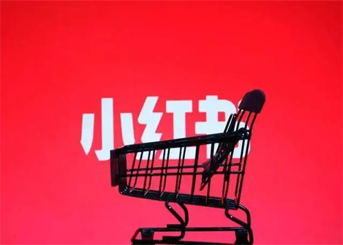 小红书该如何运营？(图1)