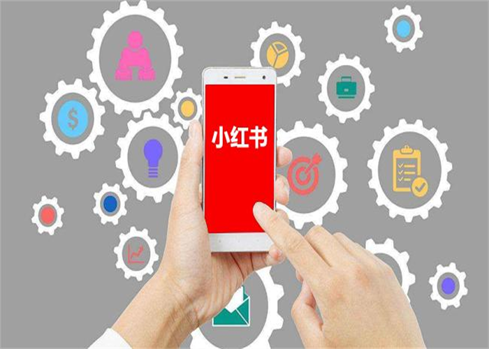 商家想要利用小红书进行品牌推广，小红书运营技巧分享！(图1)