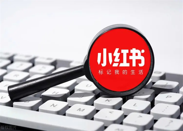 小红书笔记怎么优化？学会这几点让你轻松提高笔记排名！