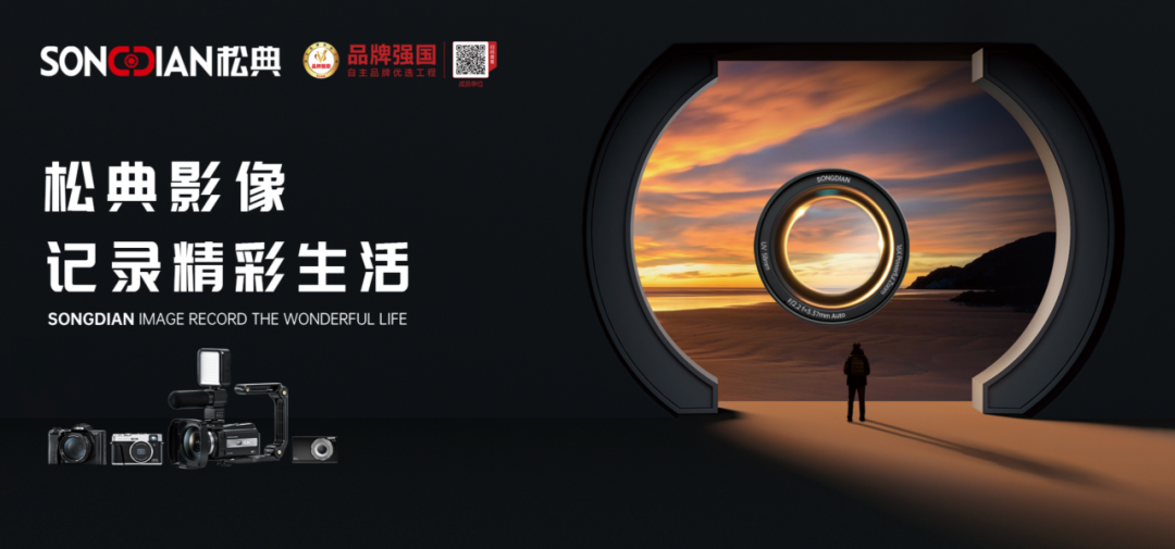 中国品牌500强！全能赋能松典再创新辉煌(图4)